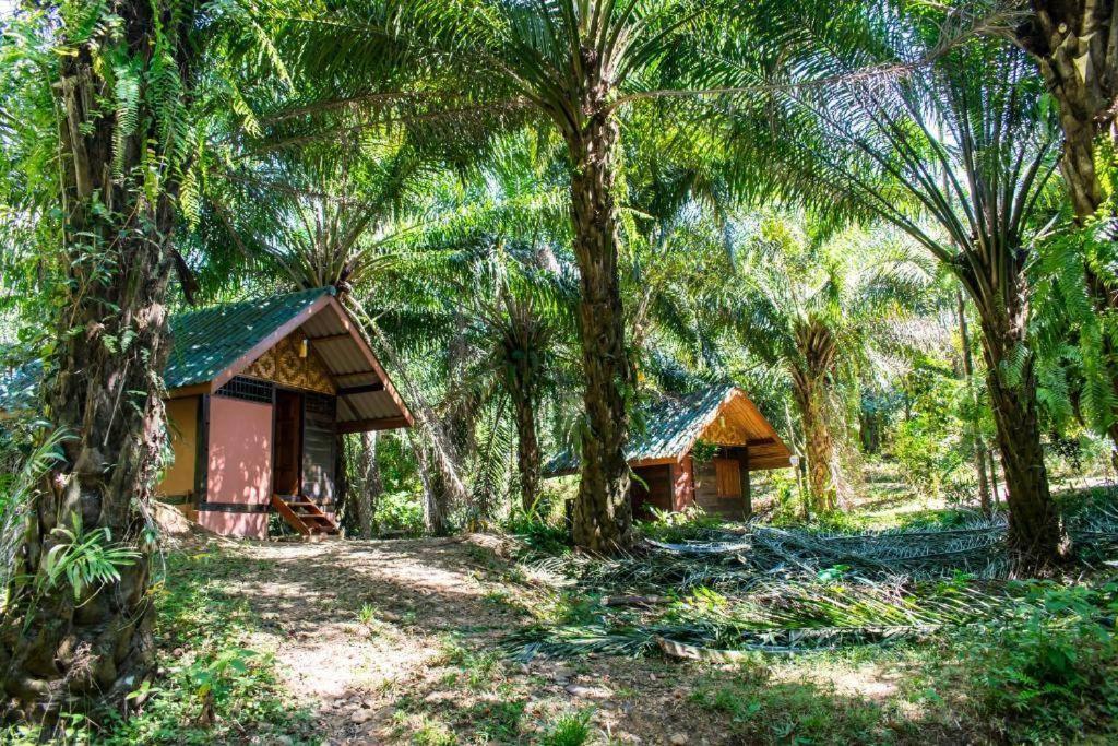 Khao Sok Silver Cliff Resort Khao Sok National Park Ngoại thất bức ảnh