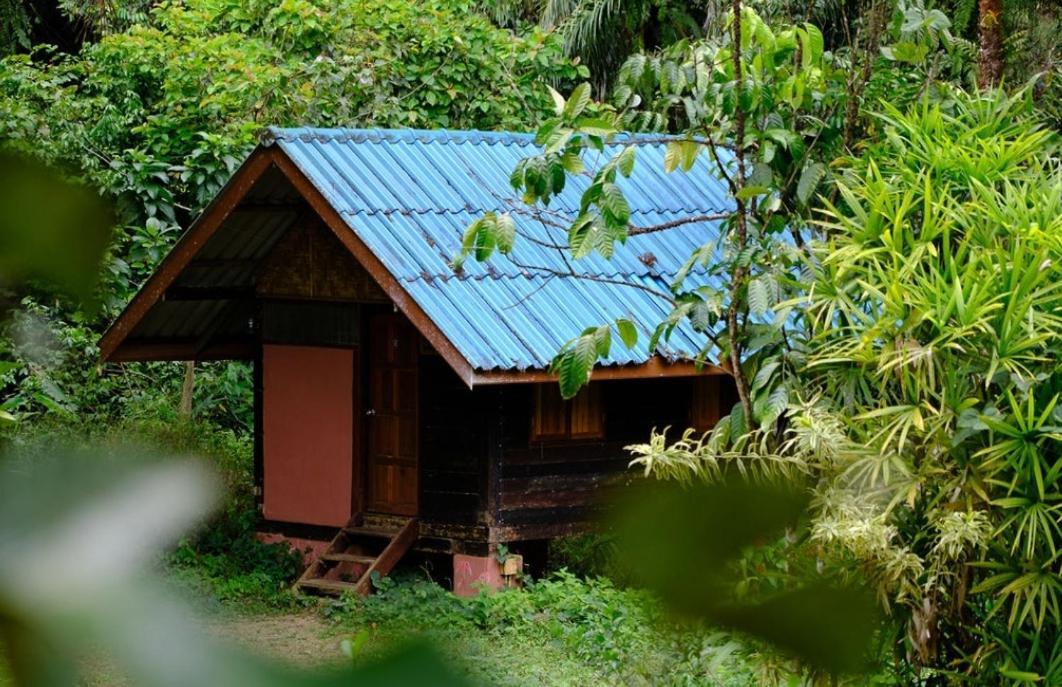 Khao Sok Silver Cliff Resort Khao Sok National Park Ngoại thất bức ảnh