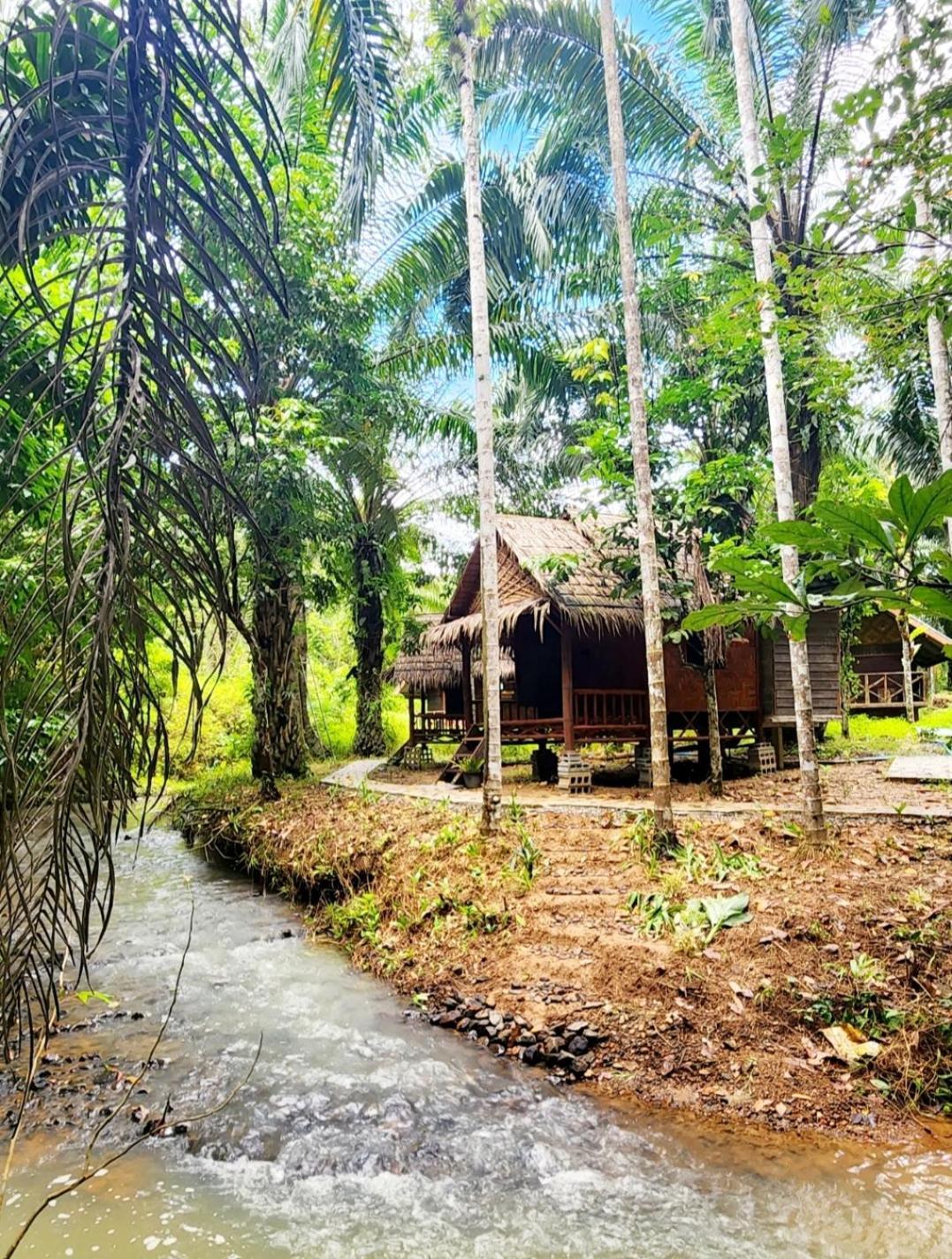 Khao Sok Silver Cliff Resort Khao Sok National Park Phòng bức ảnh