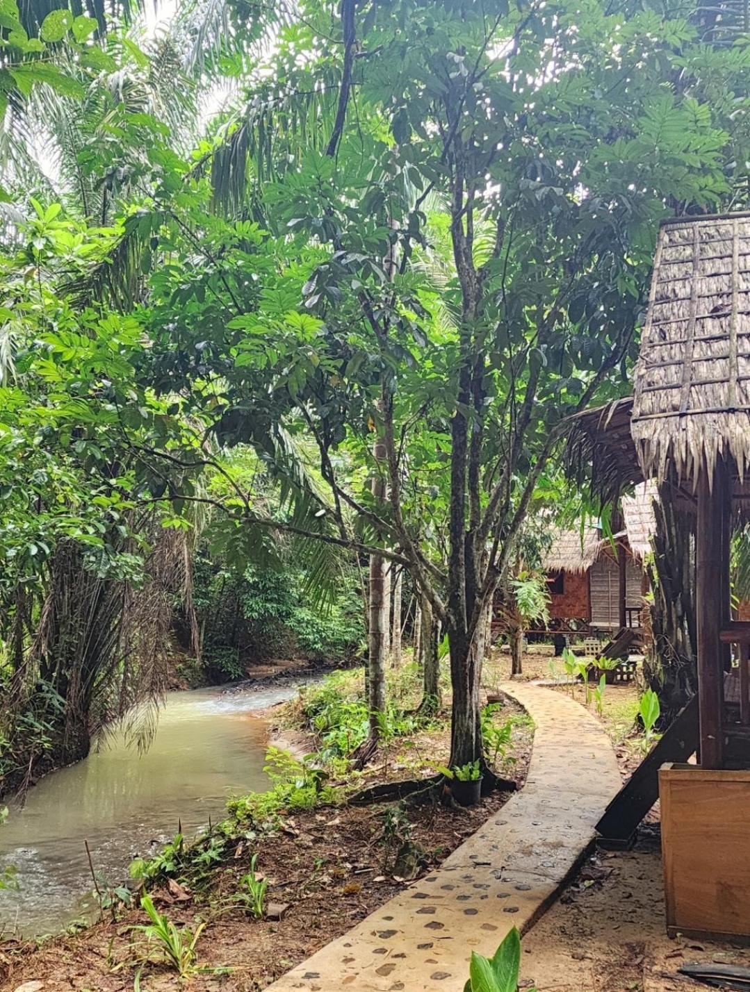 Khao Sok Silver Cliff Resort Khao Sok National Park Phòng bức ảnh