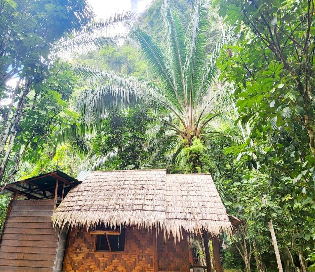 Khao Sok Silver Cliff Resort Khao Sok National Park Phòng bức ảnh