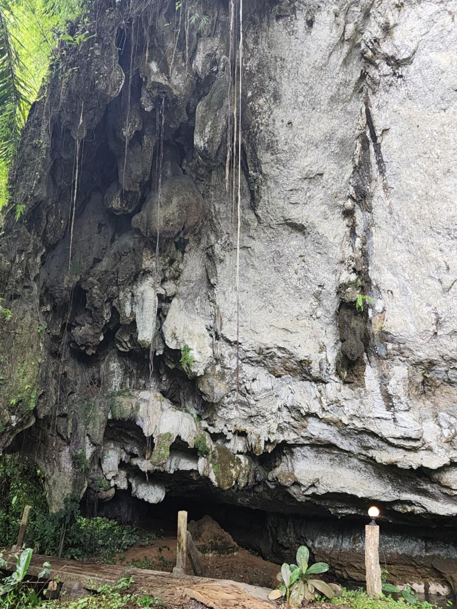 Khao Sok Silver Cliff Resort Khao Sok National Park Phòng bức ảnh