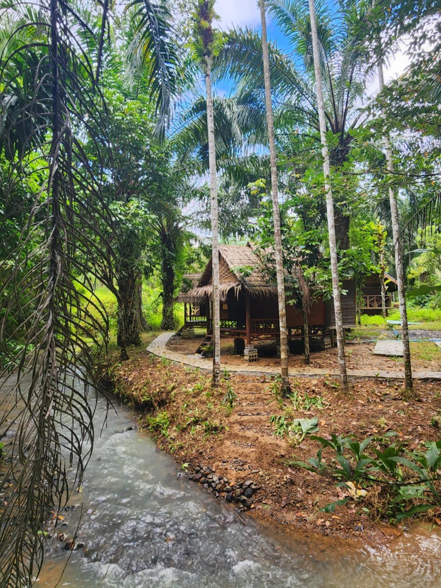 Khao Sok Silver Cliff Resort Khao Sok National Park Phòng bức ảnh